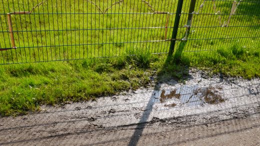 Das Grundwasser der nahen Parthe